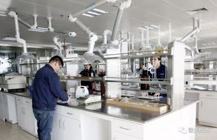 肥西縣高新技術(shù)企業(yè)認(rèn)定實現(xiàn)新突破，社會經(jīng)濟咨詢服務(wù)賦能產(chǎn)業(yè)升級